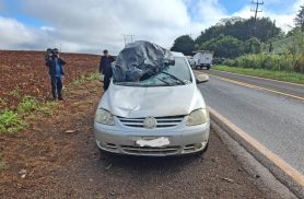 Idoso morre atropelado na rodovia PR-495 em Missal 