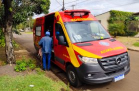 Menina sofre ferimentos na perna após ataque de cachorros no Brasília