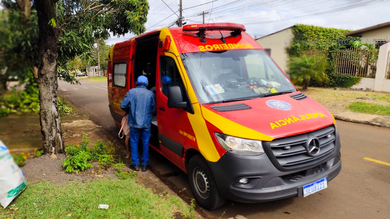 Menina sofre ferimentos na perna após ataque de cachorros no Brasília