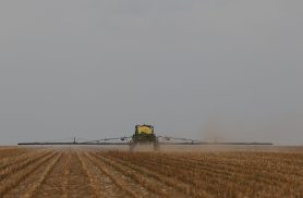 CMN aprova crédito de R$ 10 bilhões para inovação no agronegócio