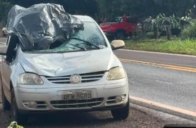 Idoso de 74 anos morre em grave acidente na PR-495, em Missal