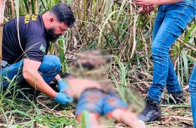Duplo homicídio: corpos são encontrados em canavial e Polícia Civil investiga execução em Foz do Iguaçu