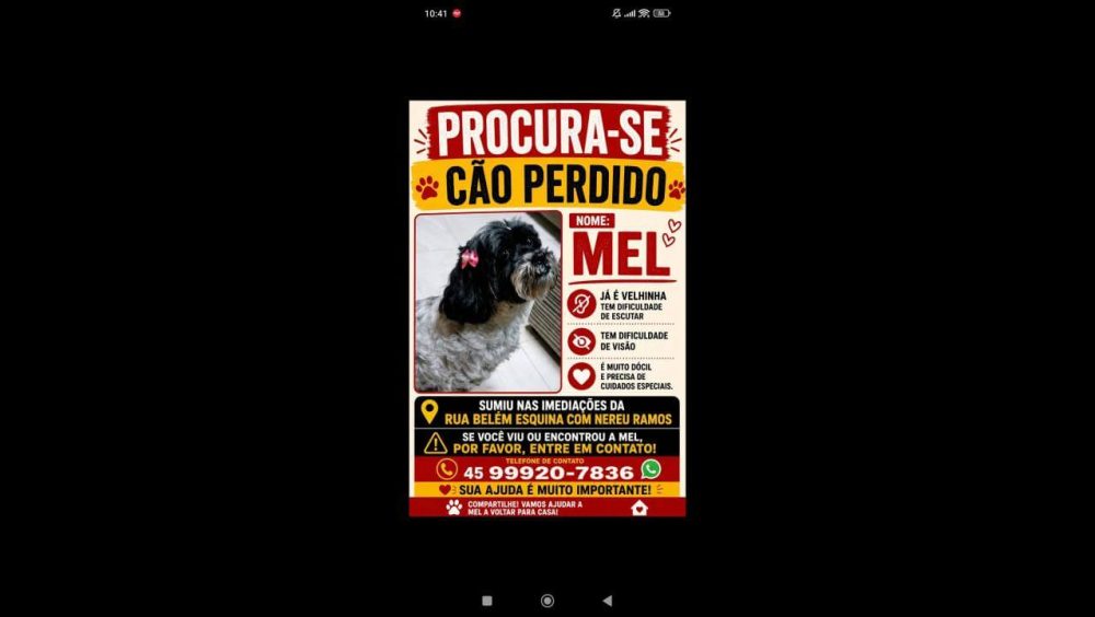 Cachorra Mel desapareceu no bairro Claudete Imagem referente a Cachorra Mel desapareceu no bairro Claudete