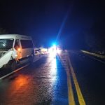 Imagem relativa a Atropelamento de animais na rodovia BR-153 deixa seis feridos