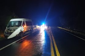 Atropelamento de animais na rodovia BR-153 deixa seis feridos