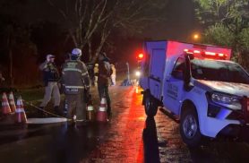 Duas mulheres morrem e seis pessoas ficam feridas após Pajero atingir árvore em Foz do Iguaçu