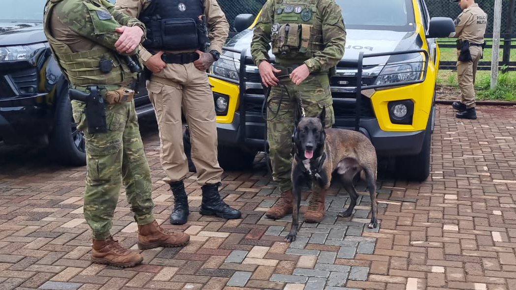 3º Campeonato de Faro reúne cães das forças de segurança em Cascavel