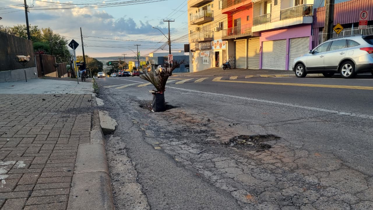 Planta colocada em buraco chama atenção de motoristas na Rua Jacarezinho