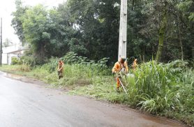 SEMA nos Bairros: Ações Ambientais no Brasmadeira em 28 e 29 de Agosto
