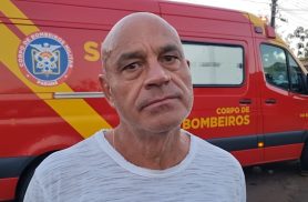 Moradores denunciam ataques frequentes de cães comunitários após homem ser mordido