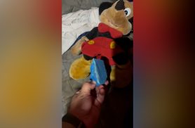 Crack é escondido dentro de ursinho de pelúcia e acaba apreendido pela PM