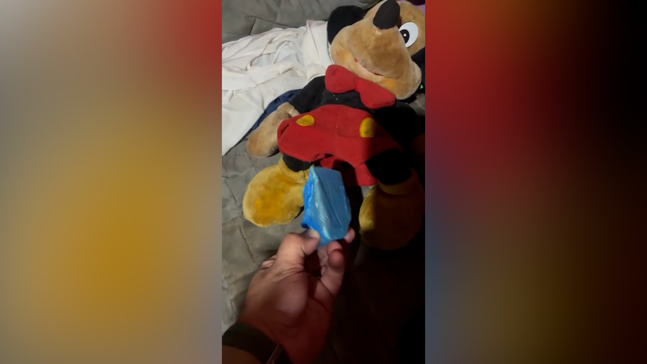 Crack é escondido dentro de ursinho de pelúcia e acaba apreendido pela PM