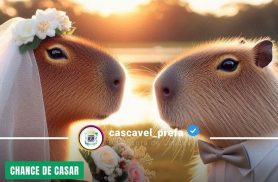 Últimos dias de inscrição para Casamento Coletivo 2026 em Cascavel; mais de 60 casais já confirmaram participação