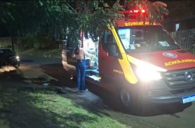 Tentativa de evitar atropelamento de cães termina em colisão no Cataratas em Cascavel