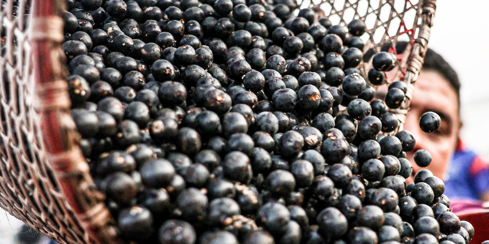 Imagem referente a China facilita exportação de polpas e frutas congeladas brasileiras