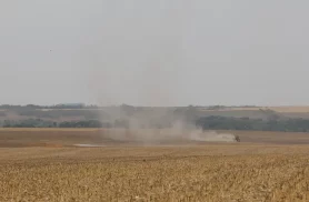 Estudo propõe avanços na rastreabilidade ambiental da soja e da carne