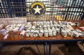 Receita Federal intercepta carga de anabolizantes escondida em bagagens na BR-277 Receita Federal intercepta carga de anabolizantes escondida em bagagens na BR-277