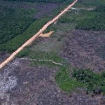 Imagem relativa a Eco Invest Brasil promove quinto leilão para financiar inovação
