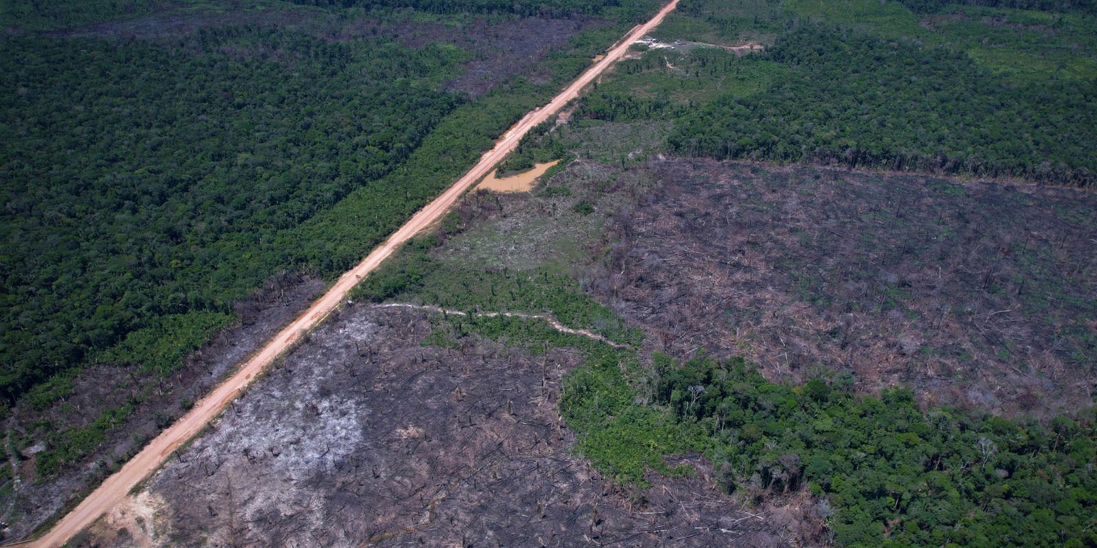Imagem referente a Eco Invest Brasil promove quinto leilão para financiar inovação