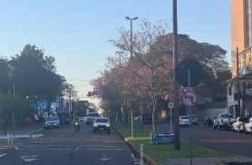Semana mais quente deste inverno tem calor perto de 30°C em Cascavel