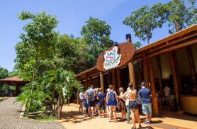 Morte no Macuco Safari: Instituto Chico Mendes publica nota e suspende passeios Morte no Macuco Safari: Instituto Chico Mendes publica nota e suspende passeios