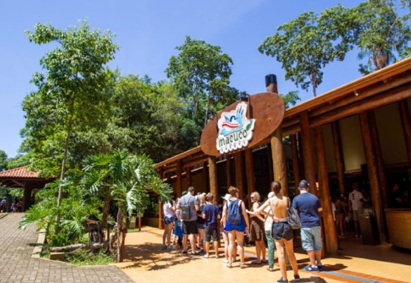 Morte no Macuco Safari: Instituto Chico Mendes publica nota e suspende passeios