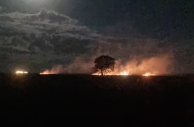 Incêndio atinge área de mata às margens da BR-369, em Cascavel