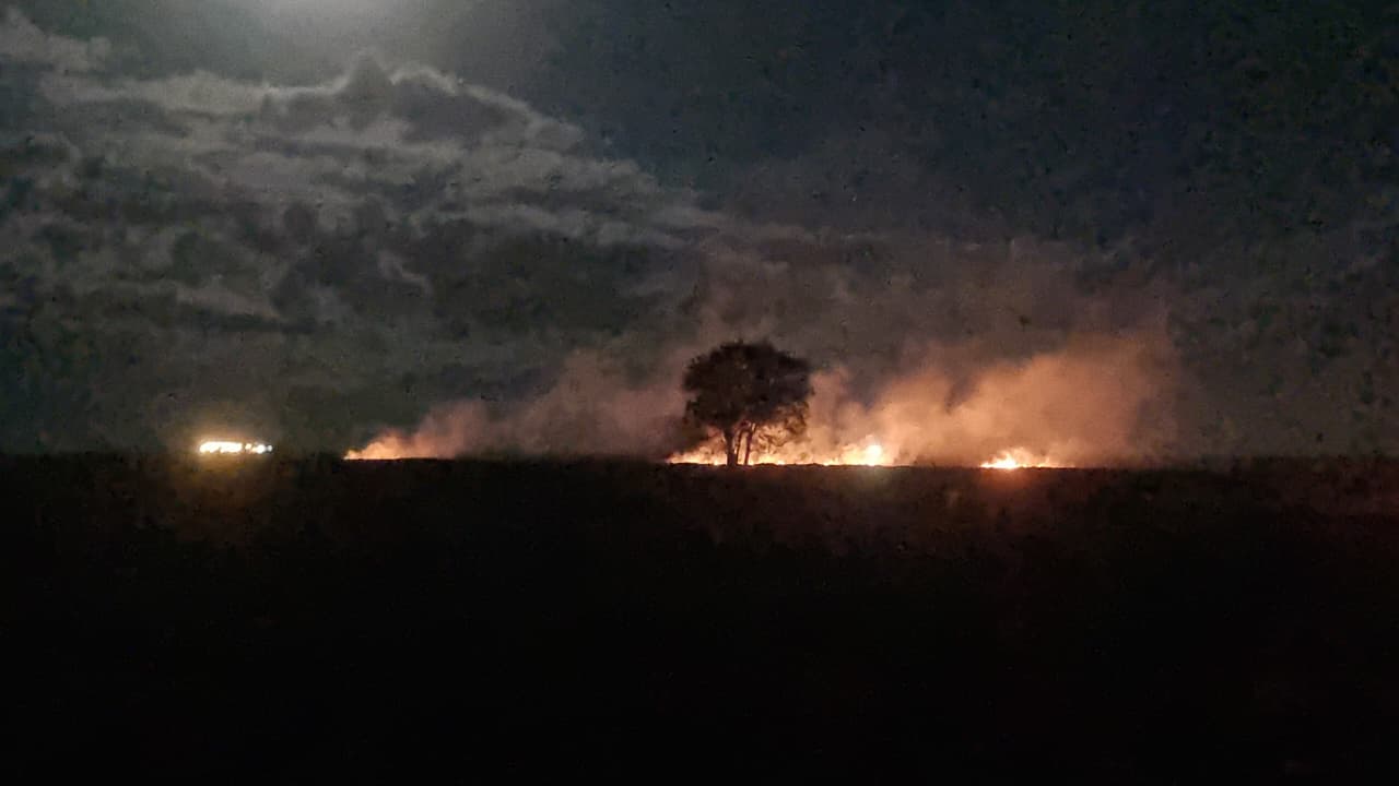 Incêndio atinge área de mata às margens da BR-369, em Cascavel
