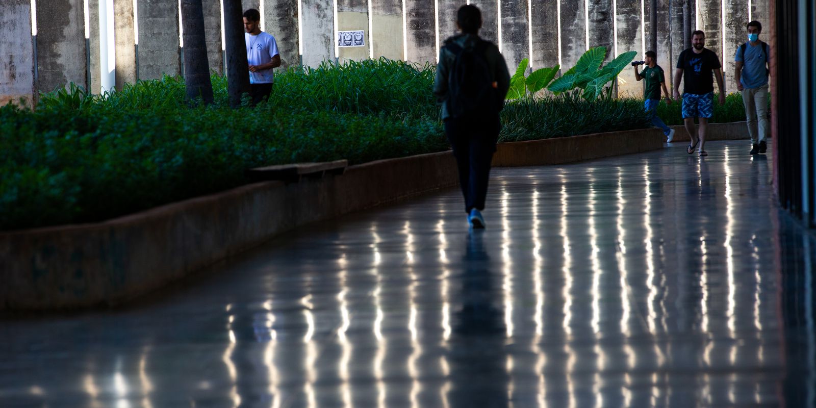 Imagem referente a Universidades tem até sábado para pedir implantação de Cuidoteca