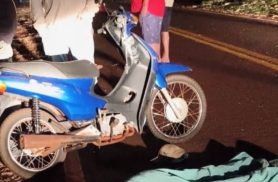 Motociclista de 72 anos morre após atingir cachorro na PR-495 Motociclista de 72 anos morre após atingir cachorro na PR-495
