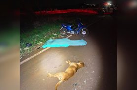 Motociclista e cachorro morrem em acidente na rodovia PR-495 Motociclista e cachorro morrem em acidente na rodovia PR-495
