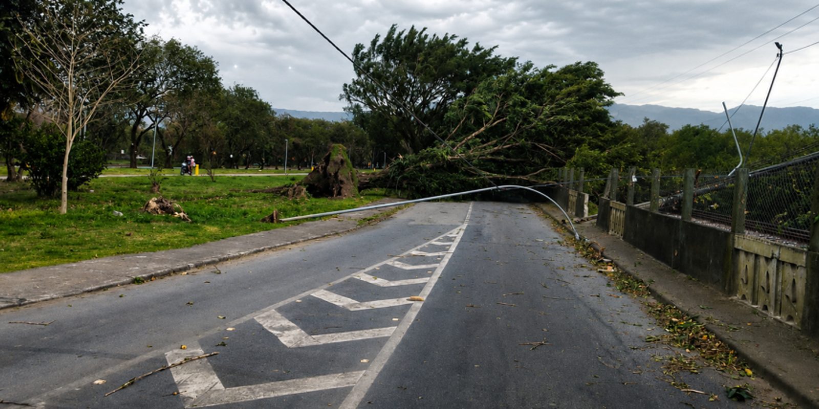 Imagem referente a Sobe para três o número de mortes em SP devido à ventania