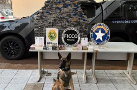 Carga milionária de celulares é apreendida em fundo falso de caminhão na BR-277, em Cascavel
