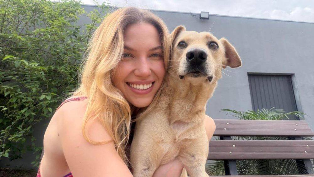 Cachorro desapareceu no bairro Pacaembu Imagem referente a Cachorro desapareceu no bairro Pacaembu