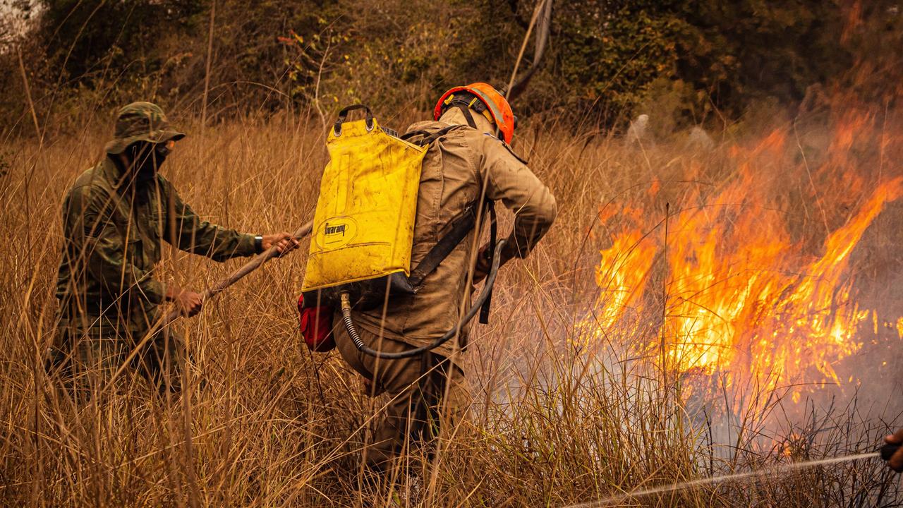 Imagem referente a Enquanto muita gente dorme, tem quem esteja de olho na floresta; hoje é o Dia Mundial do Guarda-Florestal