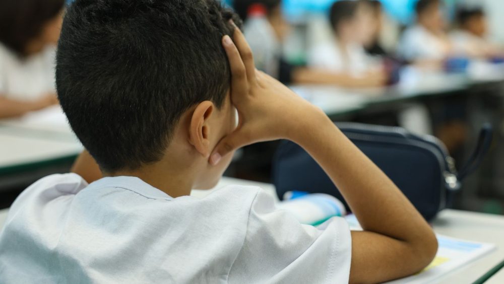 Censo Escolar 2026: coleta de dados da 1ª etapa termina nesta sexta Imagem referente a Censo Escolar 2026: coleta de dados da 1ª etapa termina nesta sexta