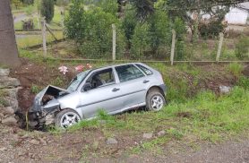 Casal e duas crianças ficam feridos após saída de pista na BR-153