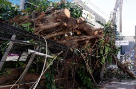 Ventania em RJ, SP e RS expõe falhas na resposta a extremos climáticos