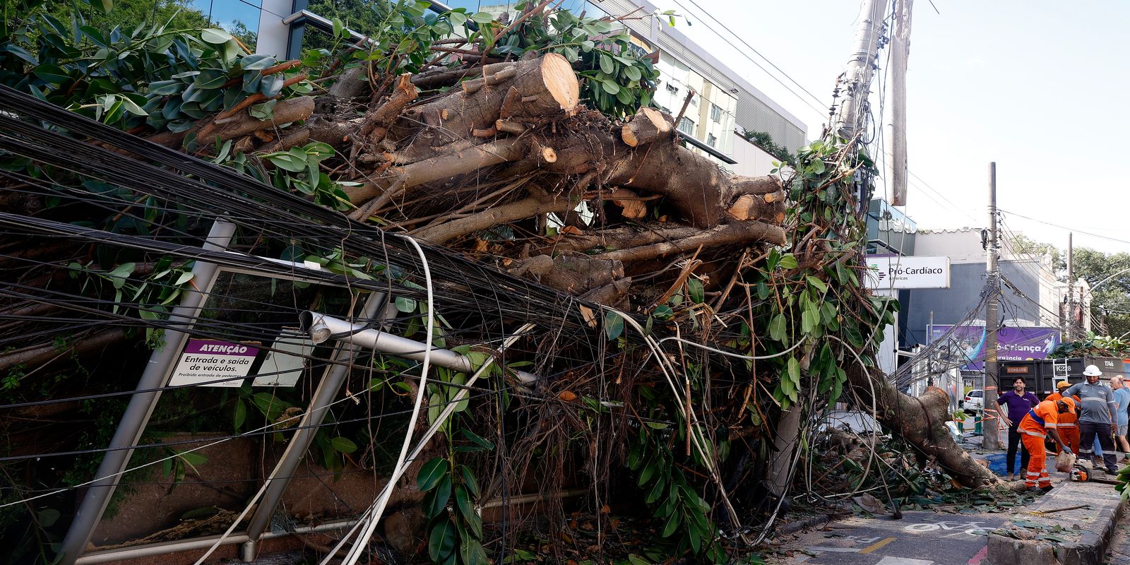 Ventania em RJ, SP e RS expõe falhas na resposta a extremos climáticos Imagem referente a Ventania em RJ, SP e RS expõe falhas na resposta a extremos climáticos
