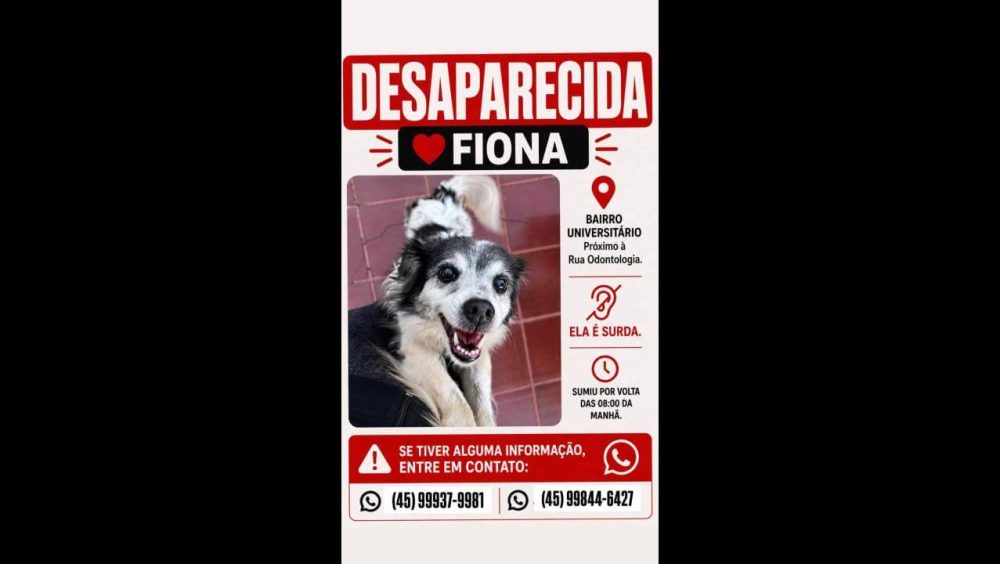 Cachorra Fiona desapareceu no bairro Universitário Imagem referente a Cachorra Fiona desapareceu no bairro Universitário