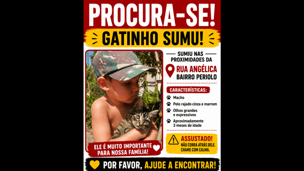 Gato Bambam desapareceu no bairro Periolo Imagem referente a Gato Bambam desapareceu no bairro Periolo