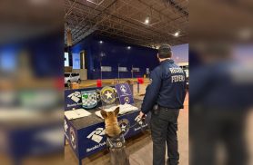 Receita Federal apreende 10,8 kg de haxixe em veículo na Ponte da Amizade, em Foz do Iguaçu