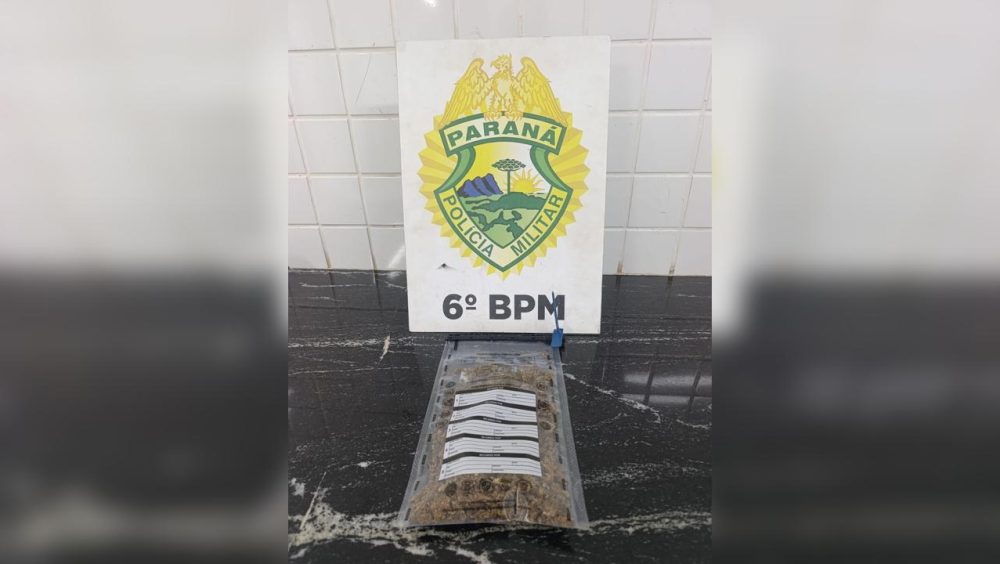 PM apreende 57 gramas de maconha durante atendimento a ocorrência no Bairro Neva Imagem referente a PM apreende 57 gramas de maconha durante atendimento a ocorrência no Bairro Neva