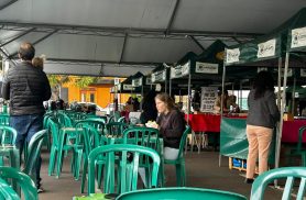 Começa o movimento na Feirinha do Teatro de Cascavel