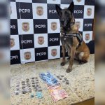 Imagem relativa a PCPR prende três pessoas e apreende drogas durante cumprimento de mandado em Curitiba