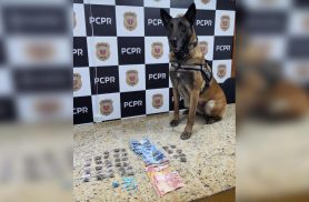 PCPR prende três pessoas e apreende drogas durante cumprimento de mandado em Curitiba