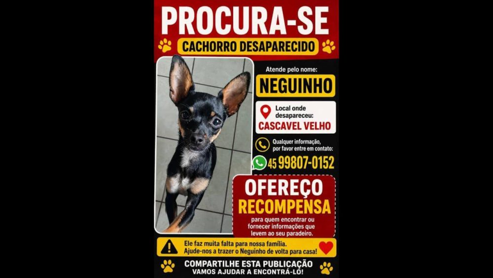 Cachorro Neguinho desapareceu no bairro Cascavel Velho Imagem referente a Cachorro Neguinho desapareceu no bairro Cascavel Velho