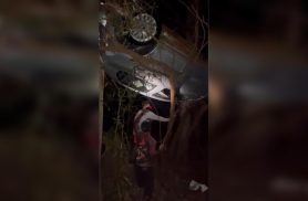 Carro fica pendurado em árvore após acidente na PR-542