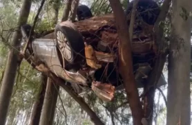 Carro fica preso em árvore após acidente na rodovia PR-542