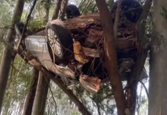 Carro fica preso em árvore após acidente na rodovia PR-542